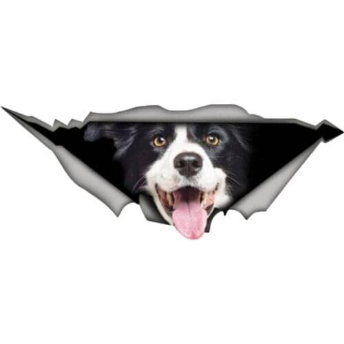 EARLFAMILY 15cm x 6cm Border Collie Car Sticker Funny Pet Dog Decal Waterproof Car Styling Animal Sticker Vinyl Decal Decoration