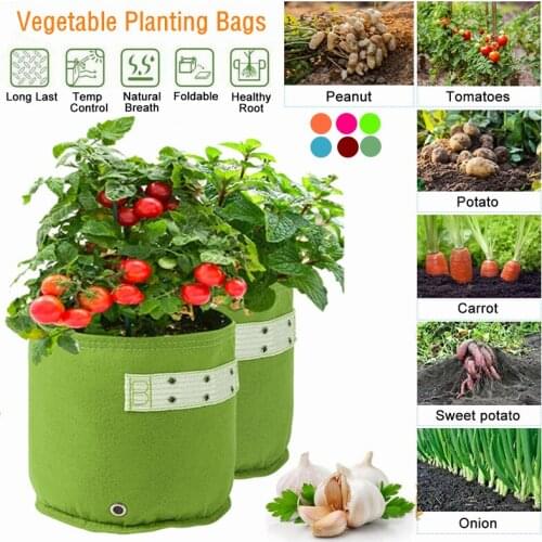 1Pc Non-woven Fabric Garden Grow Bag Orchard Flower Vegetable Strawberry Nursery Pot Home Supplies