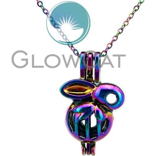 CC587 Cute Rainbow Rabbit Stone Beads Cage Pendant Essential Oil Diffuser Aromatherapy Pearl Cage Locket Necklace