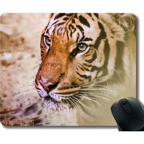 Custom Original Mouse Pad,Tiger Muzzle Predator Big Cat 114841 Mouse Pad Mat