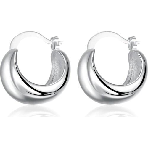 Accessories New Design silver plated jewelry Females earrings Fashion brincos Earhook Accessories Trendy Ornaments