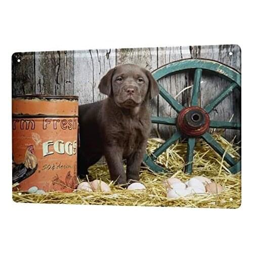 Tin Sign Decor Plaques Breed Puppy Labrador Chicken coop 8X12