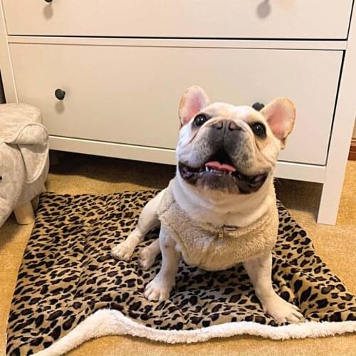 Warm Flannel Dog Mat Washable Large Dog Bed Fleece Pet Blanket Puppy Cat Cushion Soft and Breathable Cat Sofa Bed Dog Supplies