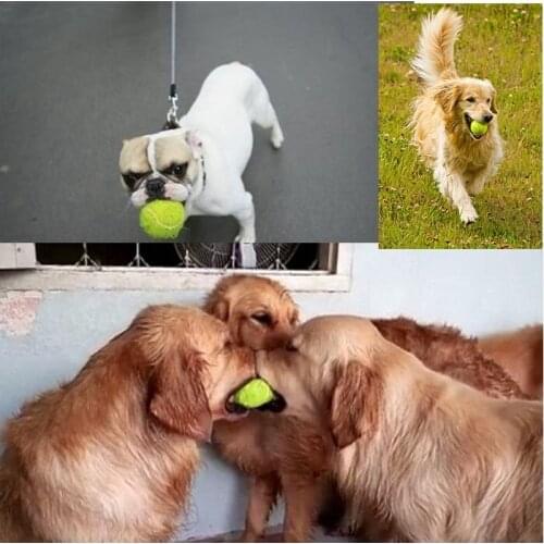 4 pieces pet dog puppy cat toy ball play ball tennis ball cheap