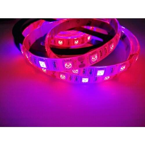 DC12V SMD5050 Led Plant Grow Strip Light IP65 Waterproof Flexible Strip Tape Light 4 Red 1 Blue Aquarium Hydroponic Plant Grow