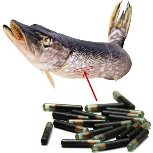 100PCS 1.4x8 mm134.2KHz RFID Glass Tag for Pet Identification,Tag for fish animal tracking/identification+5 x syringes