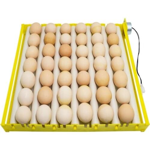 Automatic 360 Degree Rotary Egg Turner Roller Tray Duck Quail Bird Poultry Eggs Hatching Incubator Farm Incubation Tool Supplies