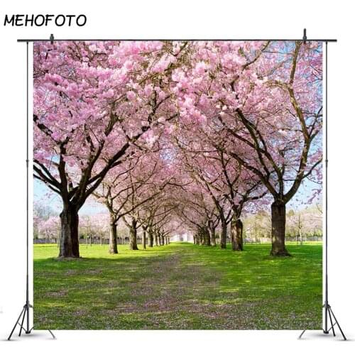 Mehofoto Spring Scenery Flower Backdrop for Photography Green Grass Path Photo Booth Background Studio Love Computer Printed 367