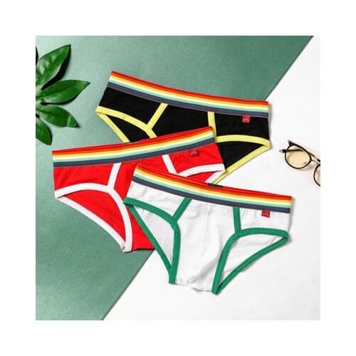 2020 Brand Mens Cotton Underwear Breathable Cuecas Rainbow Belt Briefs Weekend Underpants Male Sexy Solid Underwear