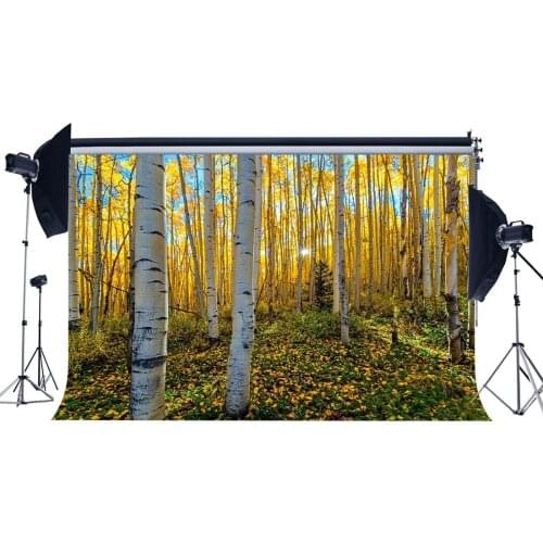 Autumn Backdrop Jungle Forest Backdrops Nature Trees Green Grasslawn Falling Golden Leaves Photography Background