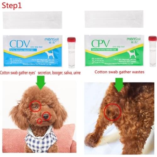 ANENG Dog Accessories