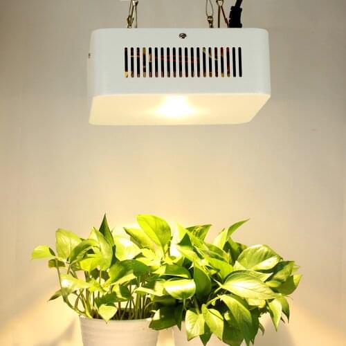 200W COB LED Grow Light Warm White Panel Grow Lamp Sunlight Hydroponic Greenhouse Phytolamp Indoor Veg Flower Plant Growth Light