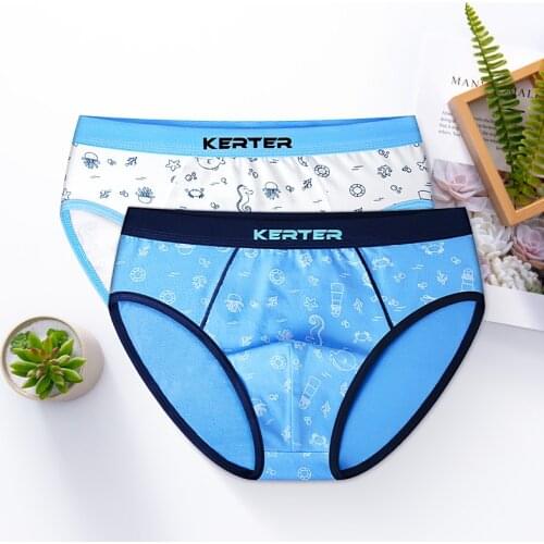 2 Pcs/lot Soft Cotton Kids Underwear Animal Pattern Teenager Underpants Childrens Boys Shorts briefs Baby Panties for 2-16y