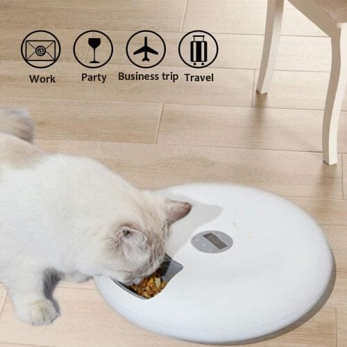 PETWANT Automatic Pet Feeder Intelligent Food Feeder Timing Quantitative Dog Cat Pet Dispenser Cat Dog Food Bowl Pet Supplies