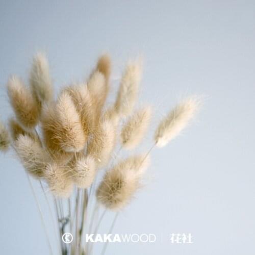 Natural Ornament Bouquet Color Rabbit Tail Grass Dry Bouquet Natural Wind Dried Flower Dog Tail Grass Home Decoration Match