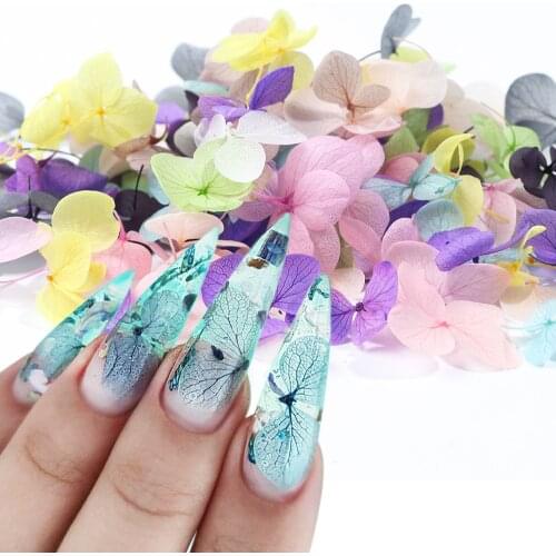 3D Dried Flowers For Nails Natural Hydrangea Lavender Nail Art Decorations Floral Petals Leaf Design Manicure Accessory GL1505