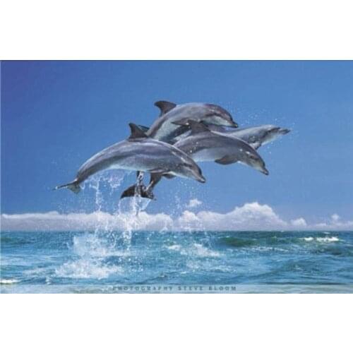 123 Home Decor Steve Bloom Four Dolphins-Silk Art Poster Wall Art Home Decoration Gift