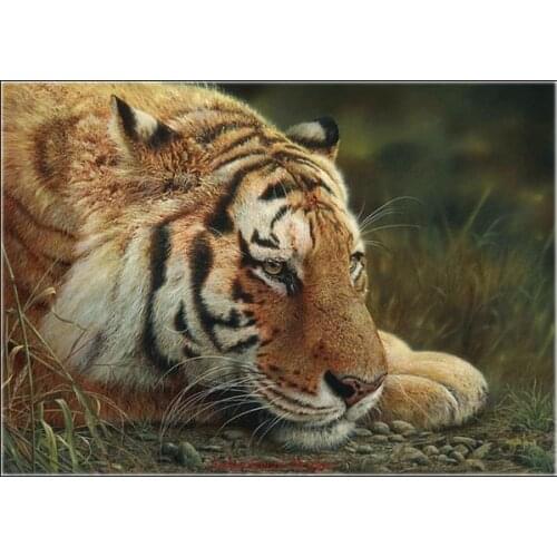 Counted Cross Stitch Kits Needlework Embroidery - Crafts 14 ct Aida DMC Color DIY Arts Handmade Home Decor - Beauty at Rest