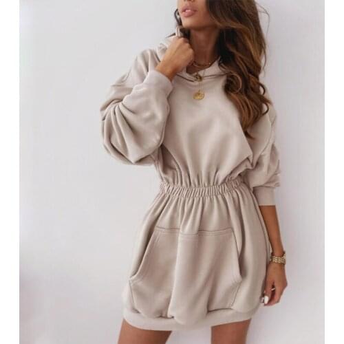 Women Autumn Winter Hoodies Dress Casua Elastic Waist Long Sleeve Pocket Hooded Pullover Dress 2020 Jumper New Sweatshirts Dress