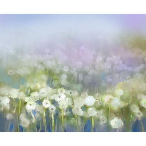 Dreaming picture background 2020 newborn photography vinyl birthday photo backdrop in photo studio accessories Photophone NB-034