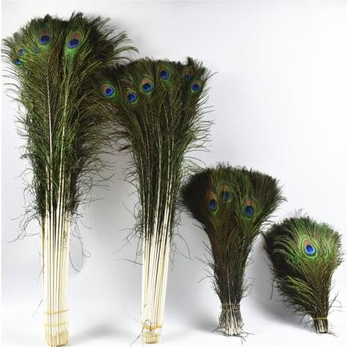 50Pcs/Lot Natural Real Peacock Feathers for Crafts Long Peacock Feather Wedding Feathers Decoration home decoration accessories