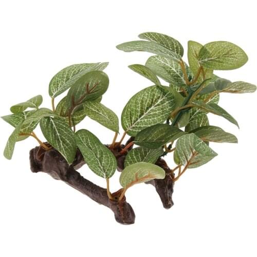 Tank and Reptile Tortoise Gecko Lizard Habitat Landscape Plants