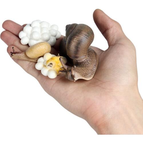 Hot Simulation Animal Insect Model Mini Animals Snails Growth Cycle Ornaments Kids Cognitive Educational Toys for children Gift