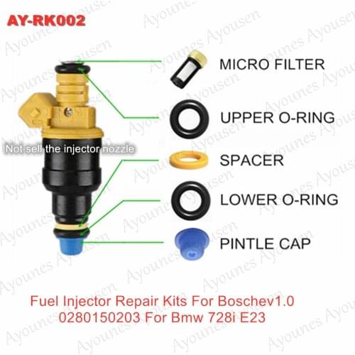 100 Sets Fuel Injector Repair Kit Fit Ford 4.6 5.0 5.4 5.8 Replaces 0280150556 Upgrade EV1 Fuel Injector repair kits AY-RK002
