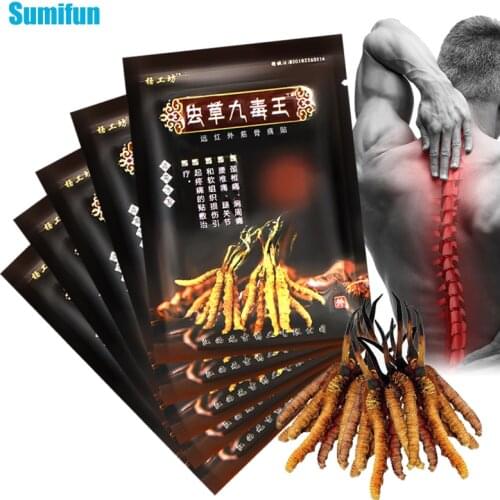 8Pcs Chinese Cordyceps Pain Relief Patch Rheumatoid Arthritis Joint Pain Cervical Spondylosis Knee Back Body Massage Plaster