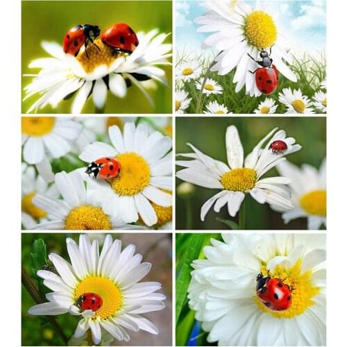 MomoArt Diamond Painting Daisy Craft Kit 5D DIY Diamond Embroidery Flower Cross Stitch Ladybug Mosaic Art Home Decor Gift