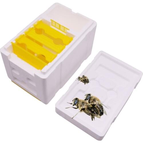 1 pcs Bee Mating Breeding Box 241*148*166mm Beekeeper Apiary Bee Hives Beekeeping Tools Equipment Good Insulation