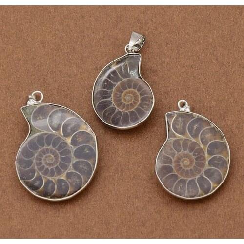 Natural Ammonite Shell Pendant Charm Necklace