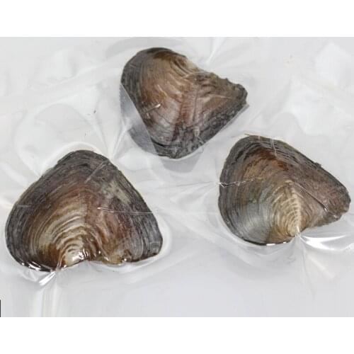 6-7mm Round Pearl Variety Good Of Color Love Wish Pearl Freshwater Oysters Individually Vacuum Packed Trend Gift Surprise FR003