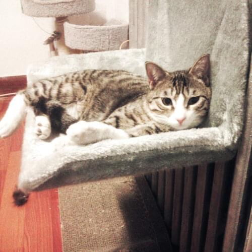 Cat Hammock Pets Window Cat Bed Adjustable Warm Shelf Seat House for Pet Cats Cushion Hanging Shelf Seat Hammock Sofa