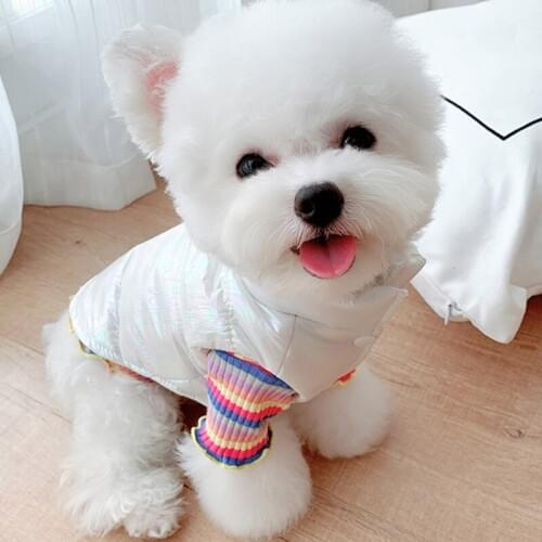 Waterpoof Pet Coat Winter Warm Down Bread Jacket Small Dog Clothes Coat Jacket Dog Autumn And Winter Jacket Puppy Costume