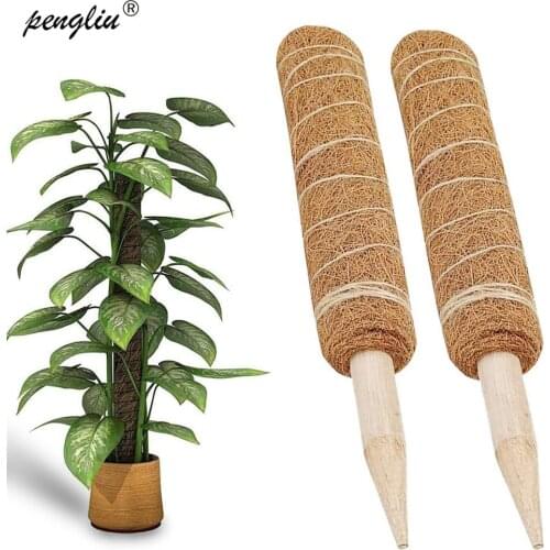 Coir Totem Pole Climbing Plants Stick Office Extension Coconut Fiber Creeper Frame Maintain Moisture Bonsai Support 30/40/50cm