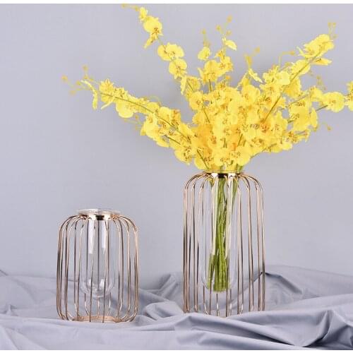 Nordic Rose Gold Iron Art Dried Flower Vase Creative Glass Hydroponic Flower Insert Decoration Simple Metal Birdcage Vase hot