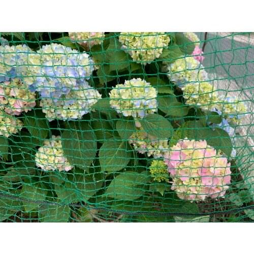 Средства борьбы с вредителями Iwown China At AliExpress