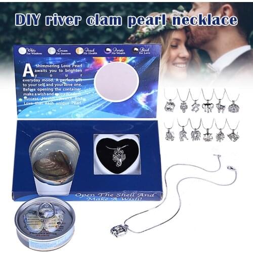 DIY Love Pearl Creations Zodiac Wish Kit with Pendant Necklace Durable for Women Girl Fashion Decoration