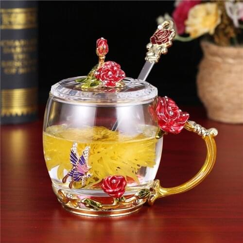 Xbees Double Wall Glass Cups