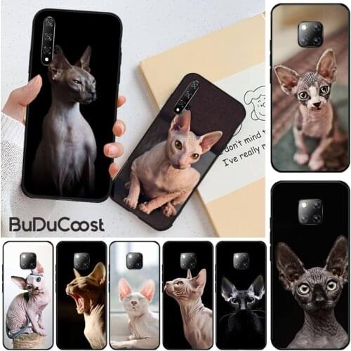 Hrmes Sphinx cat DIY phone Case cover Shell for Huawei Honor 8X 9 10 20 Lite 7A 8A 5A 7C 10i 20i 9X play 8C