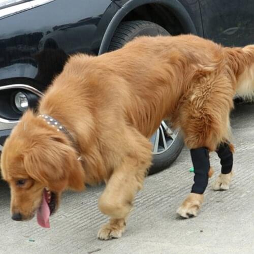 Dog Recovery Knee Brace Injuries Leg Brace Surgical Joint Wrap Breathable Hind Leg Hock Joint Wrap Dogs Medical Supplies
