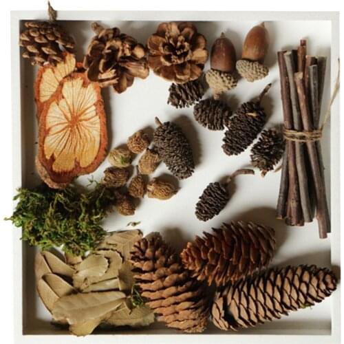 Wood Branches Acorns Pine Cones Leaves Ornaments for DIY Craft Rustic Retro Vintage Decoration Photo Booth Props
