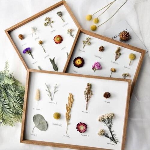 Cutelife White Nordic Wood Photo Frame Specimen Plant Vintage Picture wall frames Dried Flowers Picture Poster Frame Home Decor
