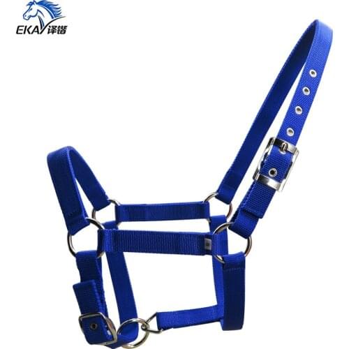 Free shipping horse halter,6MM thick PP webbing horse halter,NP fittings.(BLT2001)