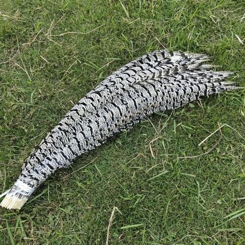 Hot 5pcs Natural Lady Amherst Pheasant feather 32-36inch/80-90cm for Home Decoration,Wedding Party Decoration