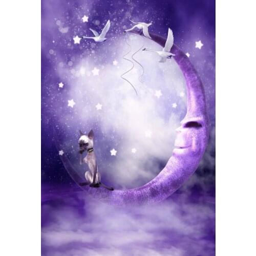 VinylBDS Photo Studio Backdrop Purple Background Moon Swan Background Fantasy Scenic Backdrops Yy00551