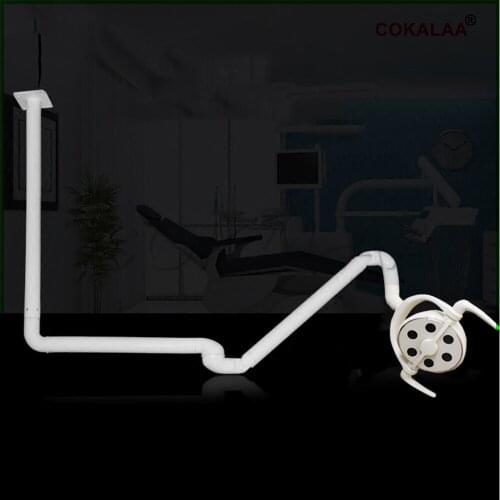 Dental Ceiling mounted dental lamp Led light with a ceiling arm module pet hospital use