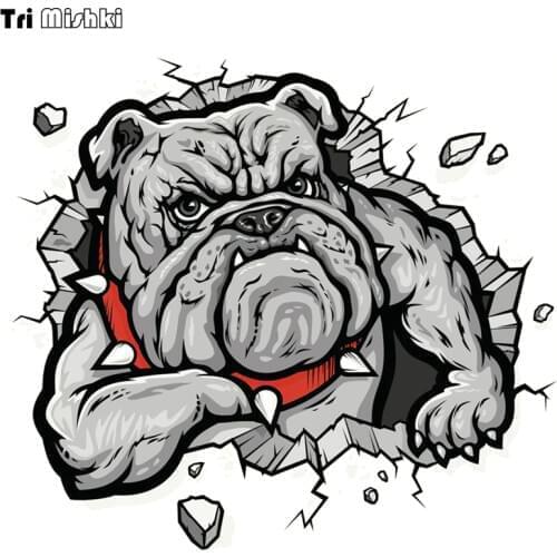 Tri Mishki WCS096 15x14cm Bulldog in the wall hole car sticker funny colorful car stickers auto automobile decals