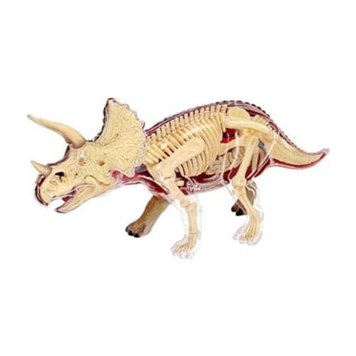 Removable simulation dinosaur assembled model Tyrannosaurus rex skeleton Triceratops Stegosaurus
